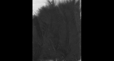 Zwarte Marabou Veren - 7 tot 12 cm hoog - 15 Stuks