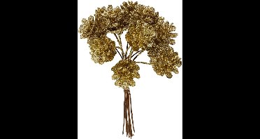 CC Kunst Denneappels