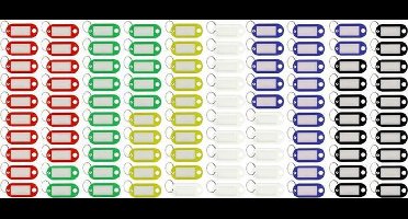 Westcott sleutelhanger - 100 stuks in doos - met verwisselbaar etiket - AC-E10653