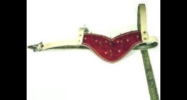 Antizuighalster leer