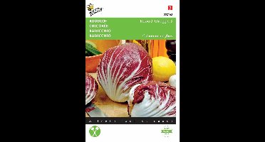 2 stuks - Buzzy - Radicchio Rosso Di Chioggia