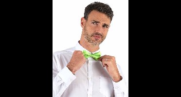 Vegaoo - Groene vlinder das voor volwassenen