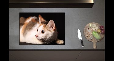Inductieplaat Beschermer - Calicokat ligt voor zwarte achtergrond en kijkt naar zijkant - 71x51 cm - 2 mm Dik - Inductie Beschermer - Bescherming Inductiekookplaat - Kookplaat Beschermer van Zwart Vinyl