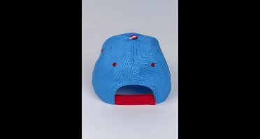 Sonic the Hedgehog Ring kinderpet honkbal 53 cm