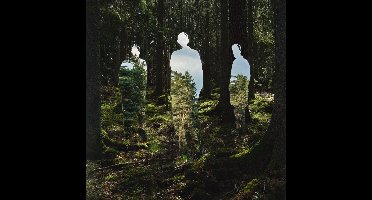 Johannes Brecht Trio - Disparaitre (LP)