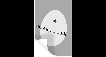 Muurstickers - Sticker Folie - Vogels - Zwart - Wit - 20x30 cm - Plakfolie - Muurstickers Kinderkamer - Zelfklevend Behang - Zelfklevend behangpapier - Stickerfolie