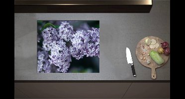 Inductieplaat Beschermer - Boeketjes van Paarse Sering Bloemen - 60x51 cm - 2 mm Dik - Inductie Beschermer - Bescherming Inductiekookplaat - Kookplaat Beschermer van Wit Vinyl