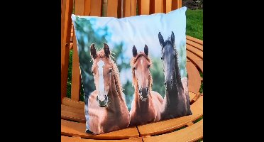 Buitenkussen paarden 45x45 cm - tuinkussen - paard - kussen