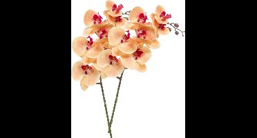 Emerald Kunstbloem Orchidee - 2x - 83 cm - zalm kleurig - losse tak - kunst zijdebloem - Phalaenopsis