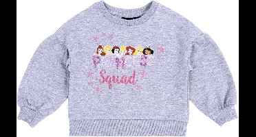 Grijs PRINCESS DISNEY sweatshirt