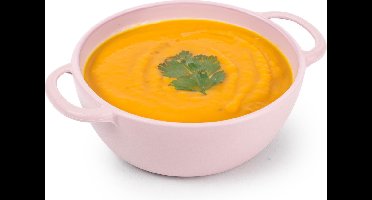 Plasticforte Soepkommen met hengsels - Campinglife - kunststof - D11 x H5 cm - 370 ml - roze - stapelbaar - onbreekbaar