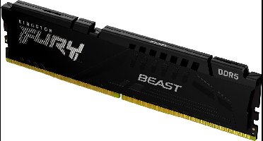 Kingston Technology FURY Beast 16GB 6800MT/s DDR5 CL34 DIMM Black EXPO
