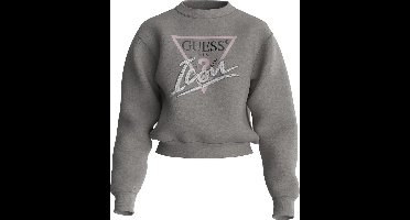 Guess CN Icon Sweatshirt Dames Trui - Grijs - Maat S