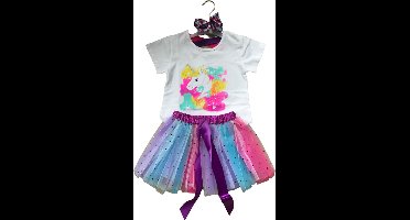 Gekleurde meisje tutu rok - tule meisjes rok en  eenhoorn t-shirt - Coloured kleuren meisjes rok - maat 104/110 M - meisjes rok 3 - 4 jaar