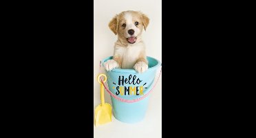 Carbotex Badlaken hond in emmer Hello Summer 70x140 cm