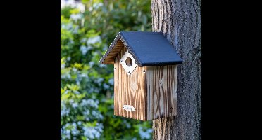 Protector Nestkast Bandera 32 mm