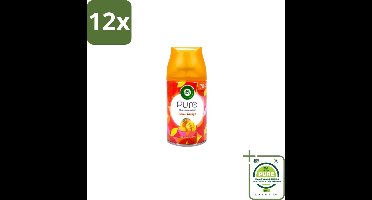 Air Wick – Luchtverfrisser Navulling – Island Mango – 250 ml - Voordeelverpakking - 12 stuks - Luchtverfrisser - Tropische geur