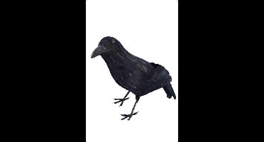 Dressing Up & Costumes | Costumes - Halloween - Crow