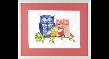 Pako Borduurpakket - telpatroon met codekaart - familie uil - 238.220 - voorgesorteerd garen - Aida - 24 x 18 cm - DIY kit