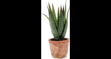 Kunstplant Aloe vera 32 cm