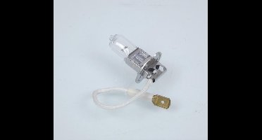 Ampoule Osram pour Scooter Malaguti 125 Phantom 1999 à 2020 Neuf