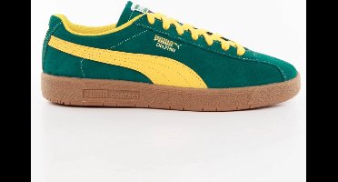 Puma Select Delphin Schoenen Groen EU 43 Man