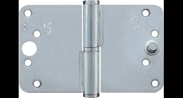 Paumelle - Gegalvaniseerd - Staal - AXA - AXA Veiligheids1202 SKG*** - DIN-rechts 89x150mm gegalvaniseerd