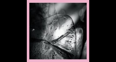 Loscil - Clara (2 LP)