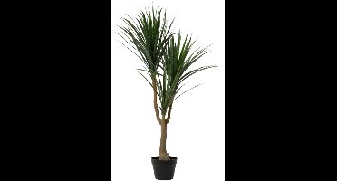 HEM Levensechte Kunstplant Dracaena 120 cm – Levensechte Groene Kunstboom met Pot – Hoogwaardige Kamerplant voor Interieurdecoratie