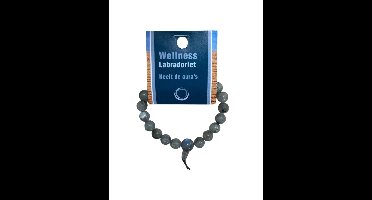 Powerbead Armband Labradoriet (Met Displaykaart)