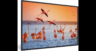 PosterMonkey - Poster - Fotolijst - Vogel - Flamingo - Zonsondergang - Water - Tropisch - 120x80 cm - Poster in lijst - Poster flamingo - Poster frame - Poster dieren