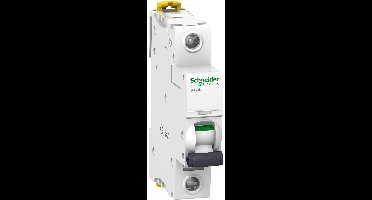 Schneider Electric A9F93102 A9F93102 Zekeringautomaat 2 A 230 V