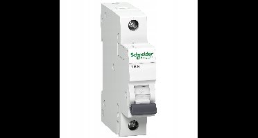 Schneider Electric Acti 9 Serie - Automatische Schakelaar - 10A - 1P - 230V