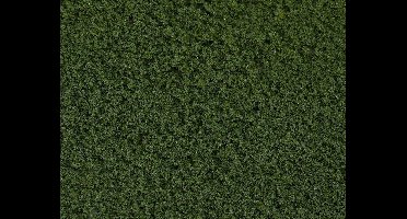 Faller - PREMIUM terrain flocks, coarse, dark-green - modelbouwsets, hobbybouwspeelgoed voor kinderen, modelverf en accessoires