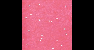 Zijdepapier - Glitters - Zilver op roze - Budget - 50x75 cm - Pak a 240 vellen