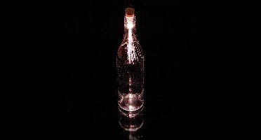 Suck Uk - Oplaadbaar vezellampje voor fles