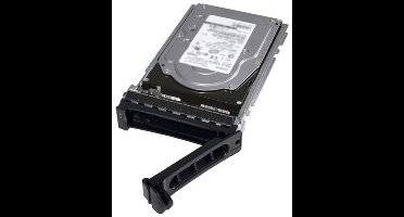 DELL 400-AUWX interne harde schijf 2 TB 7200 RPM 3.5" SAS