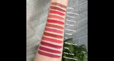 Long Lasting Lipstick up – Matte Finish – High Pigment – Non-Transfer – Vegan – Lina Beauty