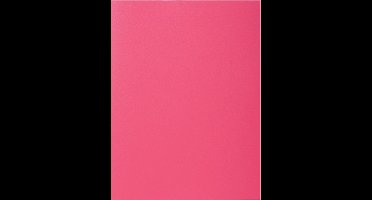 Exacompta ROCK''S 80 - Pak van 100 inlegmappen 22x31cm voor A4 - Framboos - 800016E