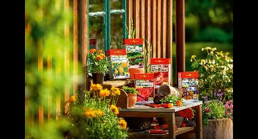 WOLF Garten - Energy Depot Tomaten Langdurige Meststof ED-TO 0,32 (voor ca. 6 planten/jaar); 3875003