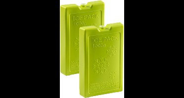 Plasticforte Koelelementen van 1000 gram - 2x stuks - groen - 22 x 14.5 x 3.5 cm - voor koeltas en koelbox