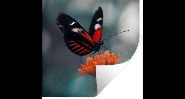Muurstickers - Sticker Folie - Vlinder - Bloemen - Insect - 30x30 cm - Plakfolie - Muurstickers Kinderkamer - Zelfklevend Behang - Zelfklevend behangpapier - Stickerfolie
