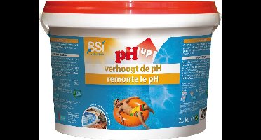 BSI - pH Up Poeder - Zwembad - Spa - Verhoogt de pH-waarde in uw zwembad of spa - 2,5 kg