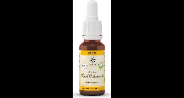 Bachbloesem Bio N°25 Red Chestnut 20ml