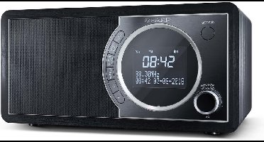 Sharp DR-450(BK) radio Klok Zwart