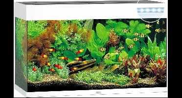 Juwel Aquarium Rio 125 Led 80x35x50 cm - Aquaria - Wit Ca. 125 L