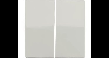 ION industries bedieningswip serieschakelaar - V1/J1 alpin wit glanzend (20.300.114)