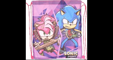 Sonic Gymtas - Sonic en Amy illustratie