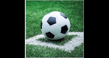 Ambiente Voetbal thema servetten - 40x - 33 x 33 cm - 3-laags papier - feestservetten - lunch servetjes