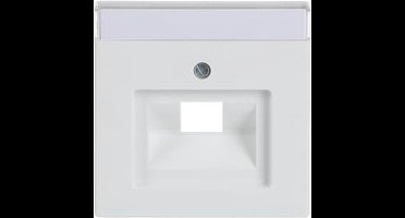 Busch-Jaeger Future Linear centraalplaat voor datadoos UAE/IAE 1-voudig 1xRJ45 glanzend wit